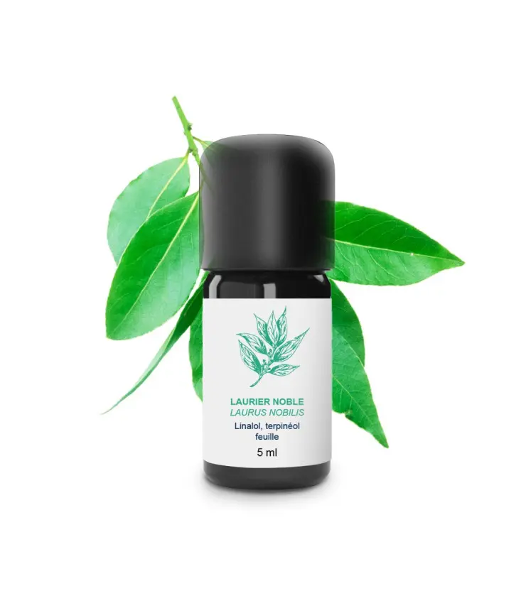 Huile essentielle - Laurier Noble 5 ml - Essenciagua