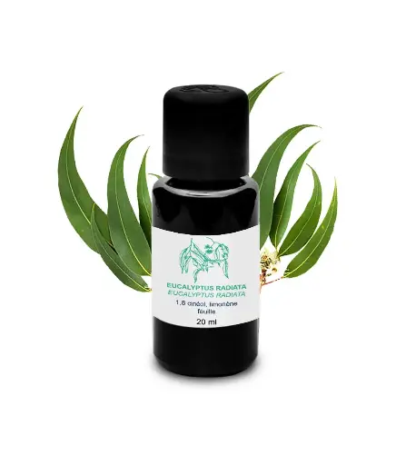 Huile essentielle - Eucalyptus Radiata 20 ml - Essenciagua