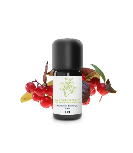 Huile essentielle - Gaulthérie Odorante 5 ml - Essenciagua