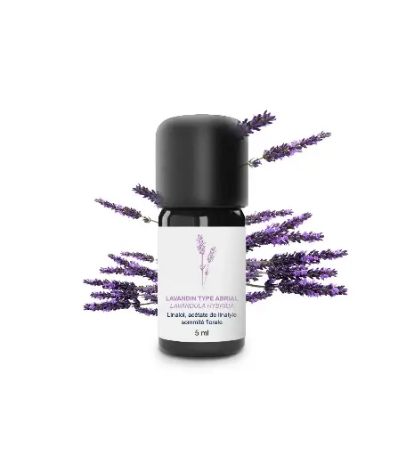 Huile essentielle - Lavandin Super 5 ml - Essenciagua