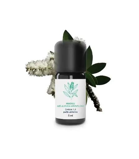 Huile essentielle - Niaouli 5 ml - Essenciagua