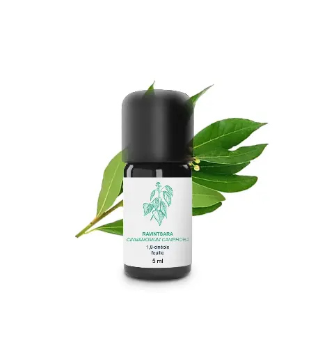 Huile essentielle - Ravintsara 5 ml - Essenciagua